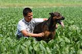 ENFANT ET CHIEN 381